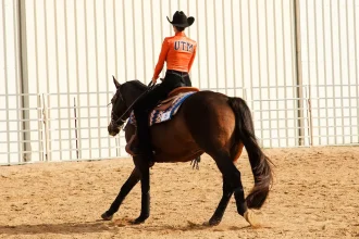 Skyhawks Equestrian