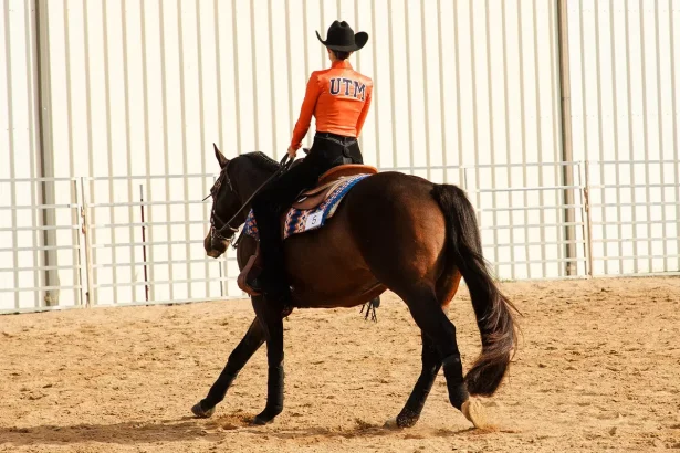 Skyhawks Equestrian