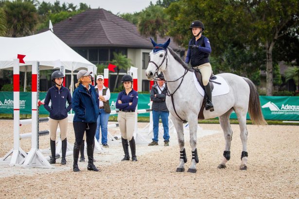 2025 USEF Horsemastership Training Series