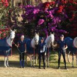 U.S. Set to Compete at 2025 FEI Endurance Pan American Championships in Brazil 5 US Equestrian