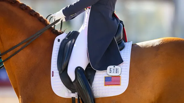 U.S. Dressage Updates Program Lists and Strategy Ahead of 2026 FEI Dressage World Championship 1 2026 FEI Dressage World Championship preview