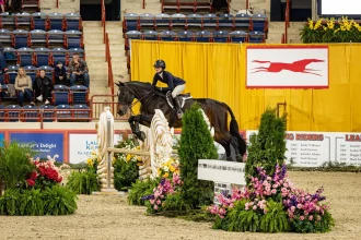 Olivia Sweetnam and Efendi Secure 2025 Dover Saddlery-USEF Hunter Seat Medal Final Championship Title