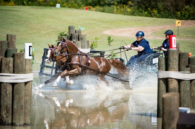 Applications Now Open for USEF Combined Driving Youth National Championship Bid 1 USEF Combined Driving Youth National Championship